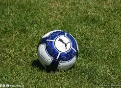 全力拼搏,小因点明夺,冠之道,开云官网,开云体育,开云全站,开云入口,开云代理