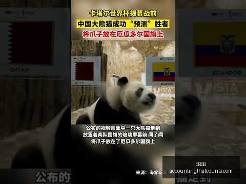 张雨霏熊猫,扮相可爱满,开云官网,开云官网,开云体育,开云全站,开云入口,开云代理